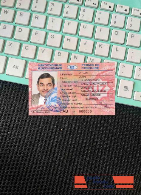 Uzbekistan DL photolook FRONT PSD template